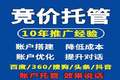 XX行业竞价广告的投放策略与效果分析